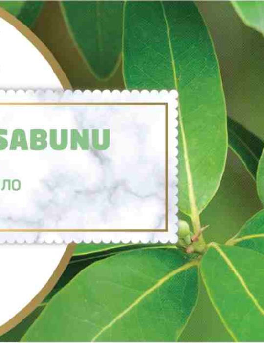 HSN Defne Sabunu 125gr