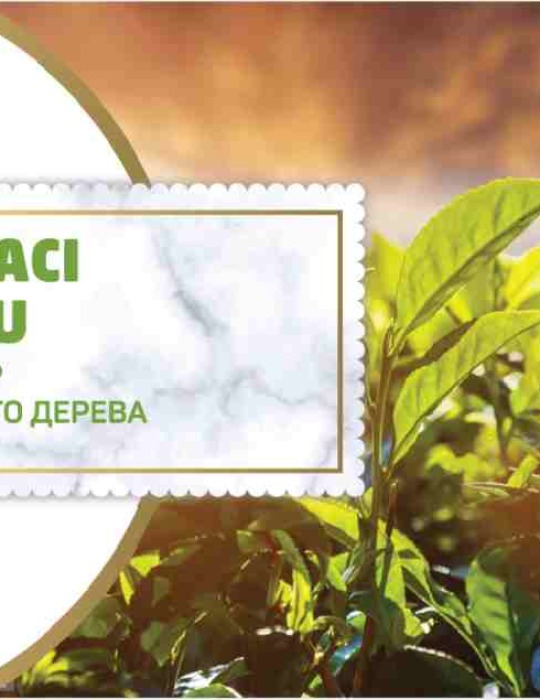 HSN Çay Ağacı Sabunu 125gr