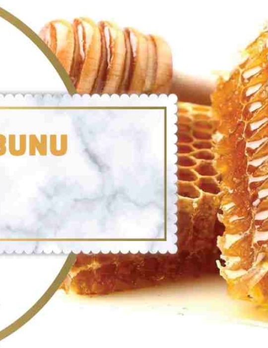 HSN Bal Sabunu 125gr